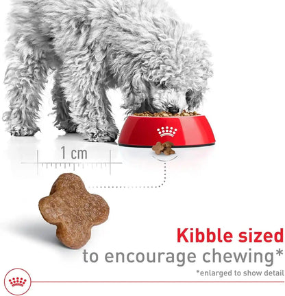 ROYAL CANIN Size Health Nutrition Small 8+ Senior Dry Dog Food, 2.5 Lb Bag3