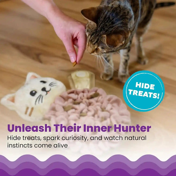Catstages Snuffle Mat for Cats - Interactive Foraging Toy with Hidden Treats, Non-Slip Base, and Hunting Stimulation for Mental and Physical Activity, 8.7" X 6"3