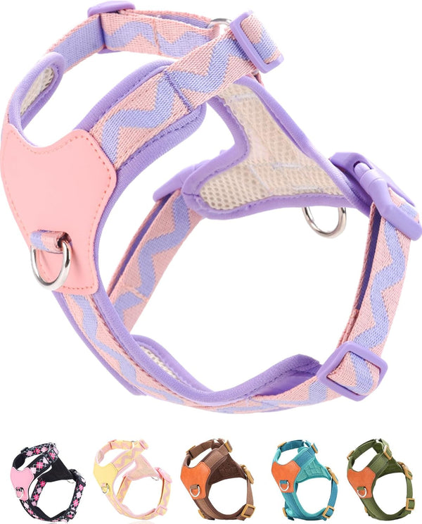 Green Xs Dog Harness for Small Dogs, No Pull Dog Harness with 2 Leash Clips, Puppy Harness, Dog Vest Harness(Green, XS)9
