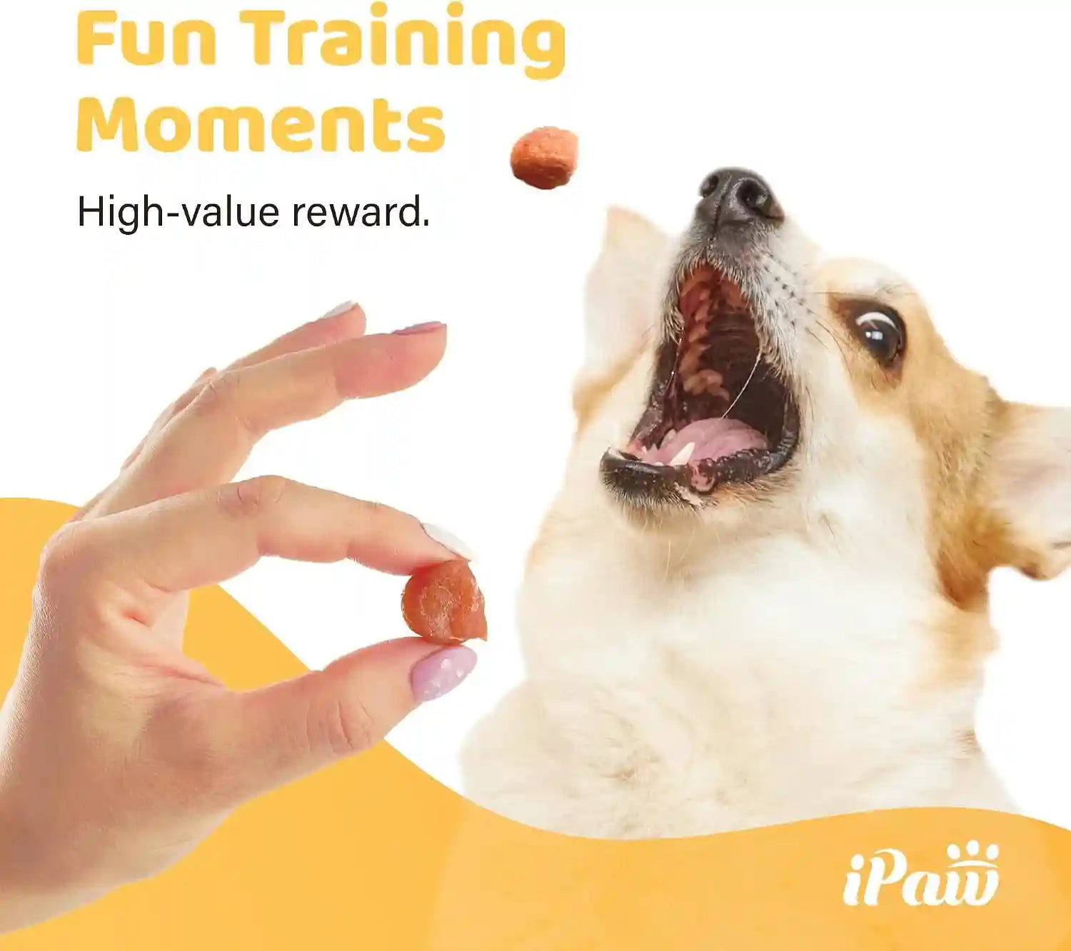 ipaw-chicken-tots-dog-treat-sqf-certified-production-process-training-treat-puppy-training-human-grade-training-reward-hypoallergenic-easy-to-digest