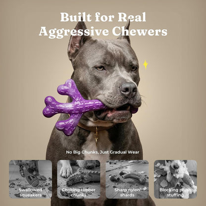 Frienhund 2-Pack Indestructible Dog Chew Toys for Aggressive Chewers | Textured Cactus with Grooves for Peanut Butter & Yogurt, Beef Nylon Bones for Large Dogs 20-90 Lbs, Easy Chew & Long Lasting3