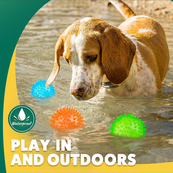 PUPTILY 2 Different Functions Interactive Ball for Dogs 2.5” Squeaky Dog Balls Toys and Puppy Teething Chew Toy Balls for Small Dogs for Clean Teeth and Training （5Pcs）6
