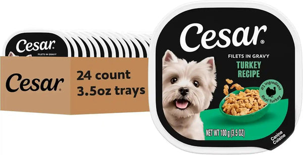 Cesar Filets in Gravy Wet Dog Food, Filet Mignon Flavor, 3.5 Oz, 24 Count | Real Beef, Easy to Digest, No Fillers, No Added Sugar, No Artificial Flavors, Slow-Cooked Tender Texture, Easy Peel Trays17