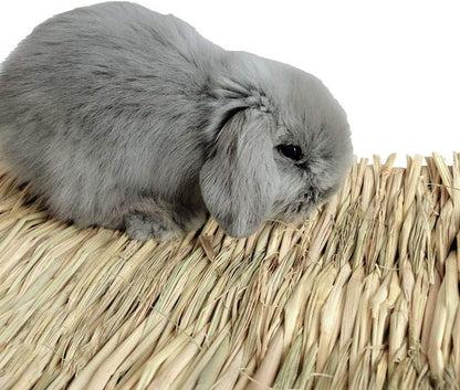 Hamiledyi Grass Mat Woven Bed Mat for Small Animal Bunny Bedding Nest Chew Toy Bed Play Toy for Guinea Pig Parrot Rabbit Hamster Rat(Pack of 3)3