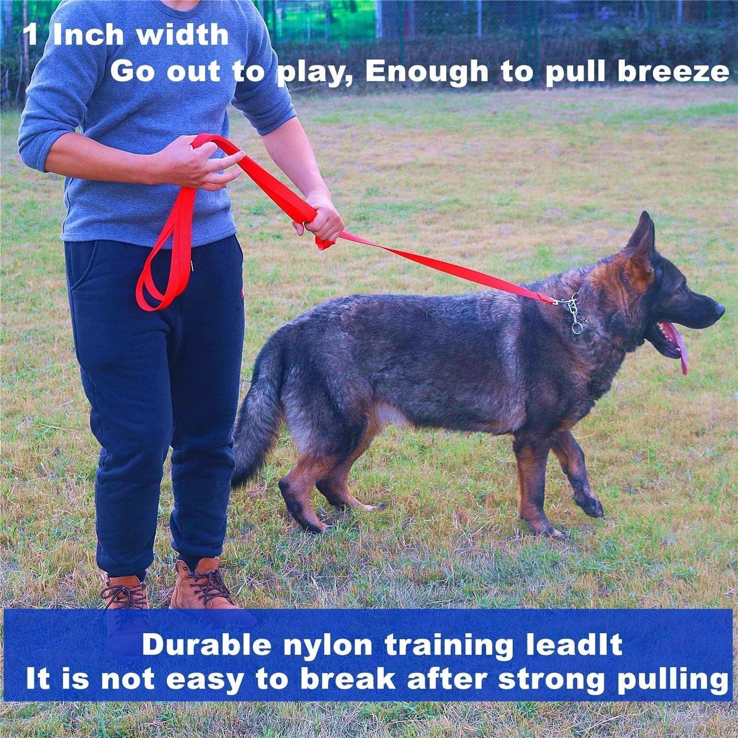 strong-durable-nylon-10ft-long-dog-training-leash-traction-rope-1-inch-wide-for-small-and-medium-dog-black-10-feet