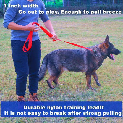 Strong Durable Nylon 10Ft Long Dog Training Leash, Traction Rope, 1 Inch Wide, for Small and Medium Dog (Black, 10 Feet)5