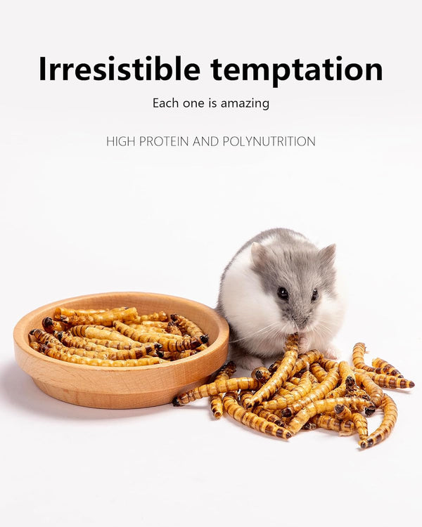 Niteangel Small Animal Snack & Treats - Dried Worms & No Additive | Delivers Essential Vitamins & Minerals- Small Animal Natural Treat for Dwarf Syrian Hamsters Gerbils Mice Degus or Small Pets2