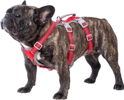 Huntboo Escape Proof Dog Harness, Escape Artist Harness, Reflective Harness with Padded Handle, Breathable, Durable, Adjustable Vest for Medium Dogs Walking, Training, and Running Gear (Blue, M)14