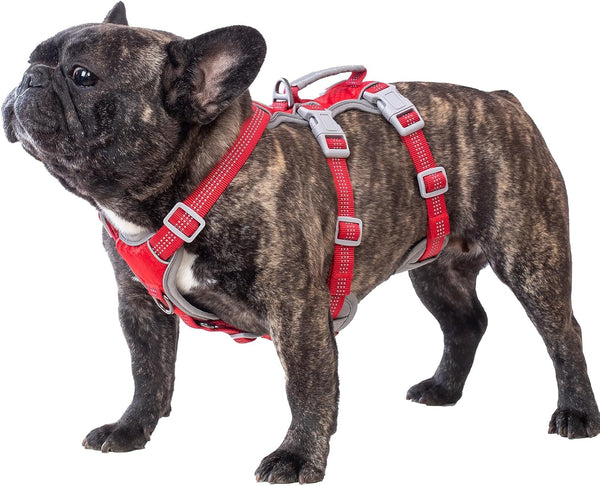 Huntboo Escape Proof Dog Harness, Escape Artist Harness, Reflective Harness with Padded Handle, Breathable, Durable, Adjustable Vest for Medium Dogs Walking, Training, and Running Gear (Blue, M)14