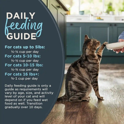 Reveal Whitefish Grain Free Complete Dry Cat Food 3 Lb Bag | High Quality Protein, Grain Free, Omega-3 Fatty Acids for Healthy Skin & Coat, Added Vitamins & Minerals, Complete & Balanced5
