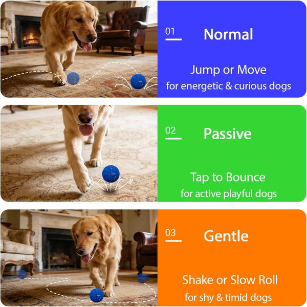 Interactive Pet Toy Ball - Bouncy, Flexible & Durable, Self-Rolling for Indoor Play, IPX7 Waterproof, Active Rolling Ball for Medium Dogs (Blue)4