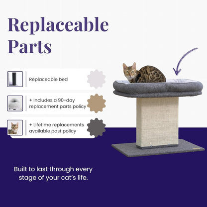 Catry Cat Perch with Washable Replaceable Bed & Wide Sisal Scratching Post | Cat Tree with Washable Replaceable Bed for Large Cats, Thick Sisal Scratching Post, Sturdy Cat Tower, Easy Assembly Cat Tree3