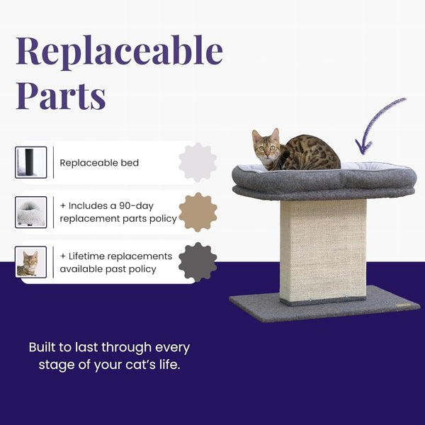 Catry Cat Perch with Washable Replaceable Bed & Wide Sisal Scratching Post | Cat Tree with Washable Replaceable Bed for Large Cats, Thick Sisal Scratching Post, Sturdy Cat Tower, Easy Assembly Cat Tree3