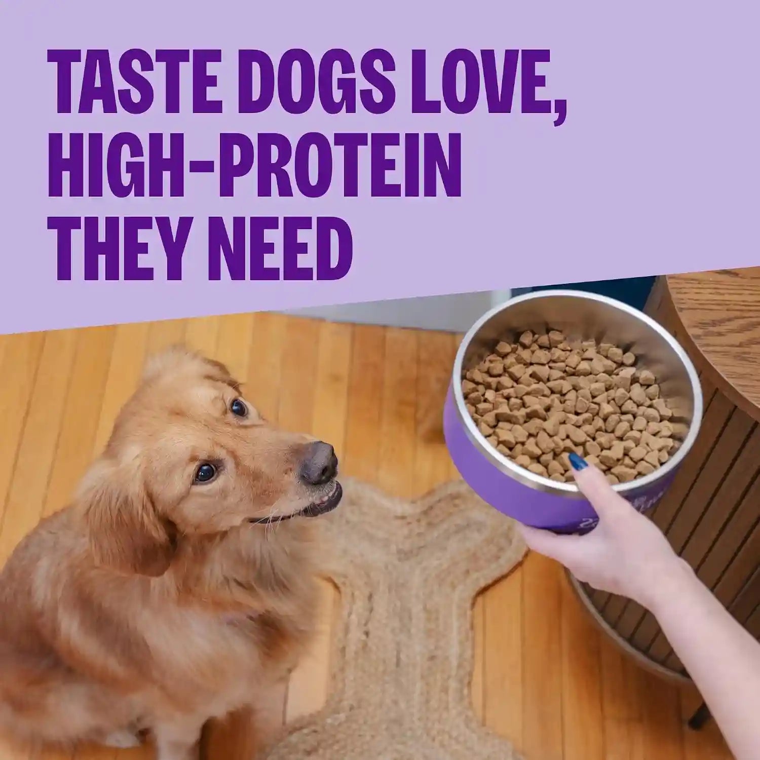 wellness-core-small-breed-adult-dry-dog-food-grain-free-kibble-natural-high-protein-turkey-and-chicken-recipe-4-lb-bag