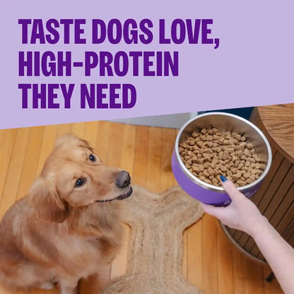 Wellness CORE Small Breed Adult Dry Dog Food, Grain Free Kibble, Natural, High Protein, Turkey and Chicken Recipe, 4 Lb Bag2