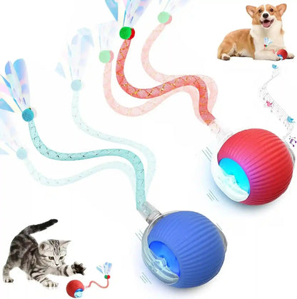 2 Packs Speed 2.0 Tail Interactive Cat Toys for Indoor Cats, Chirping & Motion Activate Cat Toy, Smart Kitten Rolling Ball Moving Ball Toys, Rechargeable Dog Cats Bal L for Enrichment Exercise1