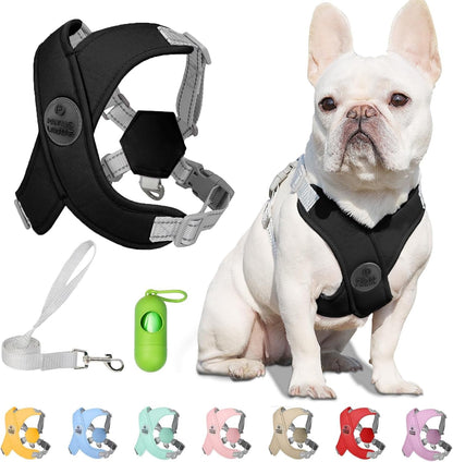Patas Lague Dog Harness with Leash Set Adjustable Soft Padded Step-In Dog Vest No Choke No Pull Reflective for Small Medium Pets with Poop Bags and Dispenser, Solid and No-Chew, Pink M22