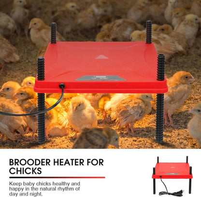 Chick Brooder Box Small Animal Playpen Chick Starter Kit Brooding Playpen with Chicks Heating Plate Perch Feeder Waterer for Duck and Quail Chicken Supplies4