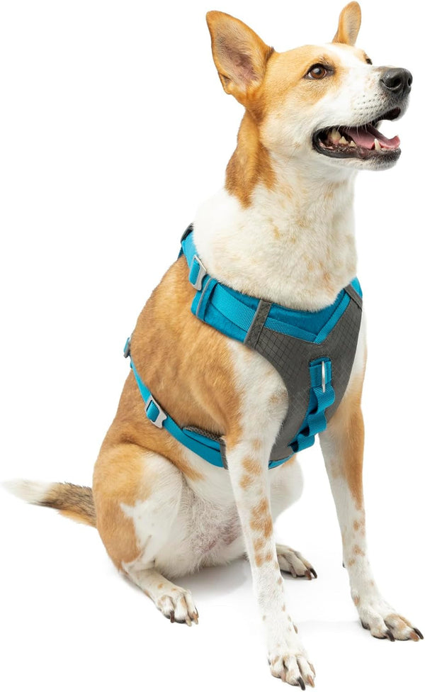 Kurgo Journey Air Dog Harness, Blue, Small | Padded Chest, Ripstop Outer & Breathable Mesh, Back Assist Handle, Rust-Free Aluminum Hardware, Reflective Trim17