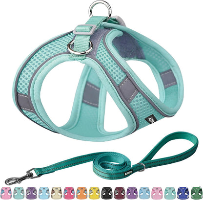 AIITLE No Pull Dog Harness and Leash Set, Step in Adjustable Dog Harness with Padded Vest for All Weather, Dog Leash with Soft Padded Handle, Easy to Put on Small and Medium Dogs Beige S12