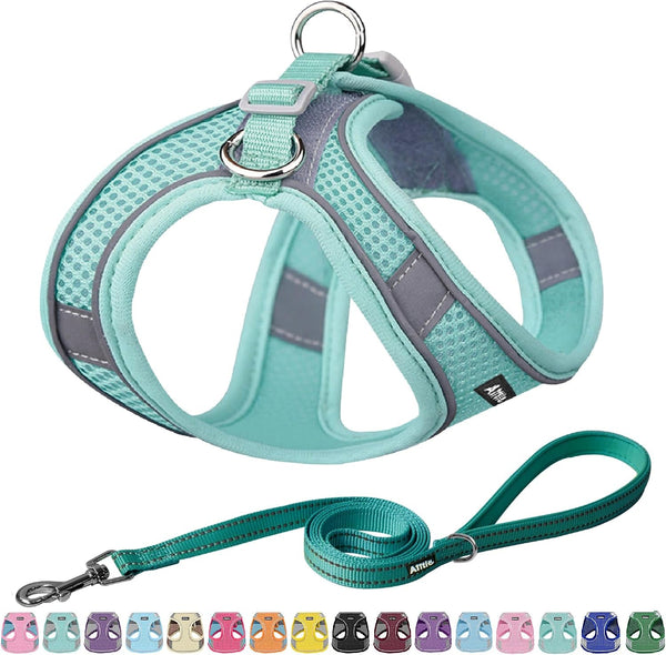AIITLE No Pull Dog Harness and Leash Set, Step in Adjustable Dog Harness with Padded Vest for All Weather, Dog Leash with Soft Padded Handle, Easy to Put on Small and Medium Dogs Beige S12