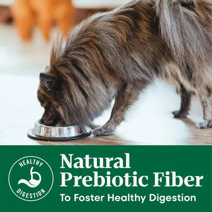 Nutro Natural Choice Senior Small Breed Dry Dog Food, Chicken, 5 Lb | Chicken First Ingredient, Beet Pulp Prebiotic, Omega-3 & Omega-6, Vitamin E & Selenium Antioxidants, Supports Bones, Skin5