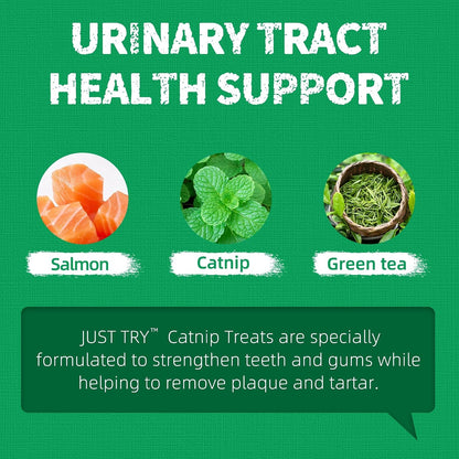 Just Try 13.4 OZ Crunchy Cat Treats Catnip Treats for Cats with Digestive Support, Natural Ingredients Kitten Treats with Real Salmon, Healthy Feline Snacks Training Biscuits Dental Care | Natural Chicken & Catnip. Crunchy Cleans Teeth, Fiber Reduces Hairballs. Perfect Training Rewards for All Cats.3