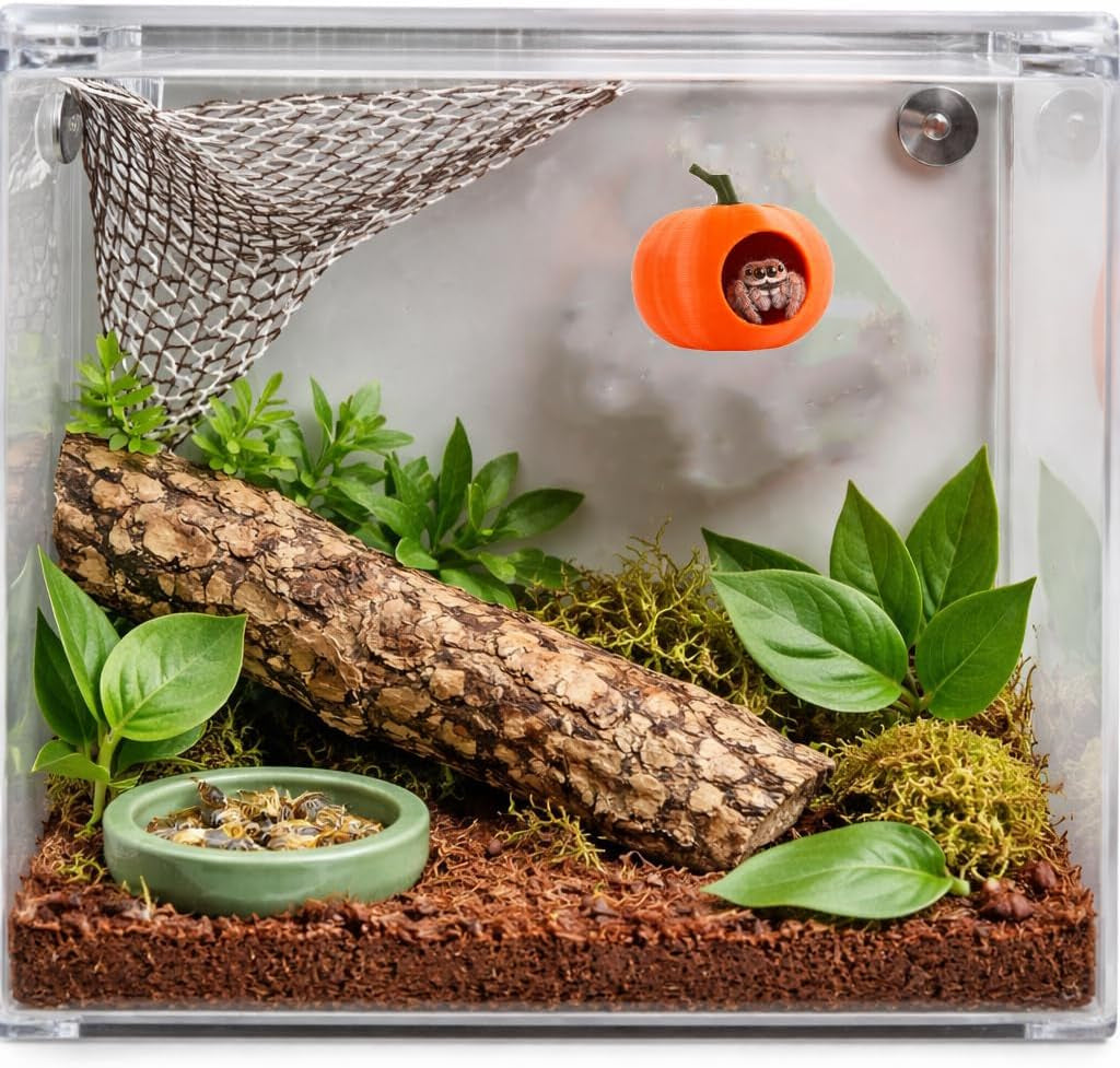 3pcs-pumpkin-jumping-spider-hide-jumping-spider-enclosure-accessories-magnetic-mounting-for-climbing-resting-and-exploration-small-reptile-enclosure-accessories-pumpkin-hide