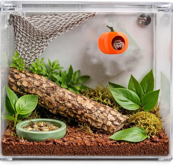 3Pcs Pumpkin Jumping Spider Hide Jumping Spider Enclosure Accessories Magnetic Mounting for Climbing, Resting and Exploration Small Reptile Enclosure Accessories (Pumpkin Hide)4