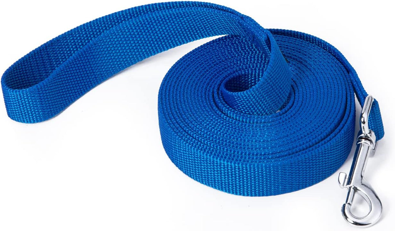 strong-durable-nylon-10ft-long-dog-training-leash-traction-rope-1-inch-wide-for-small-and-medium-dog-black-10-feet