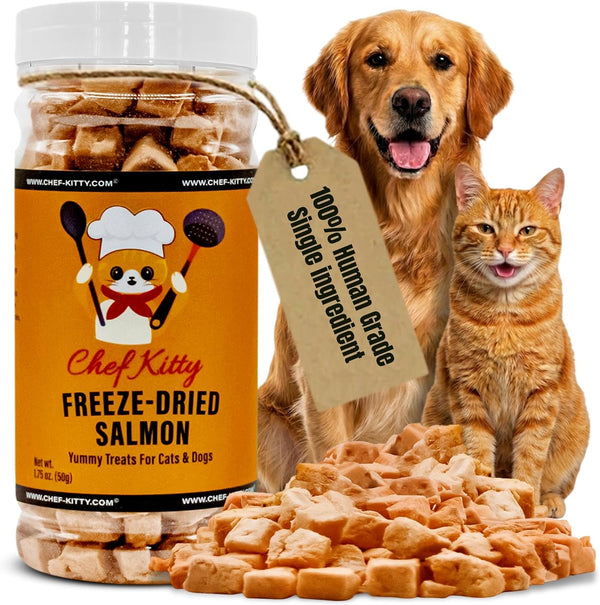 Freeze-Dried Salmon Treats for Cats & Dogs – 100% Wild Caught, Single Ingredient, High-Protein, Healthy Snack – No Additives or Preservatives – 2.7 Oz - Inspected & Tested in USA10