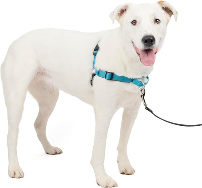 Petsafe Easy Walk Deluxe Dog Harness, No Pull Dog Harness – Perfect for Leash & Harness Training – Stops Pets from Pulling and Choking on Walks – Medium, Ocean11
