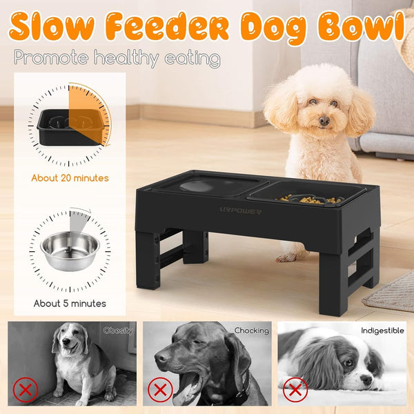 URPOWER 2-In-1 Elevated Slow Feeder Dog Bowls with No-Spill Water Bowl | 4 Height-Adjustable Raised Dog Bowls, Non-Slip Food and Water Bowls with Stand for Small, Medium, Large Dogs, Cats and Pets4