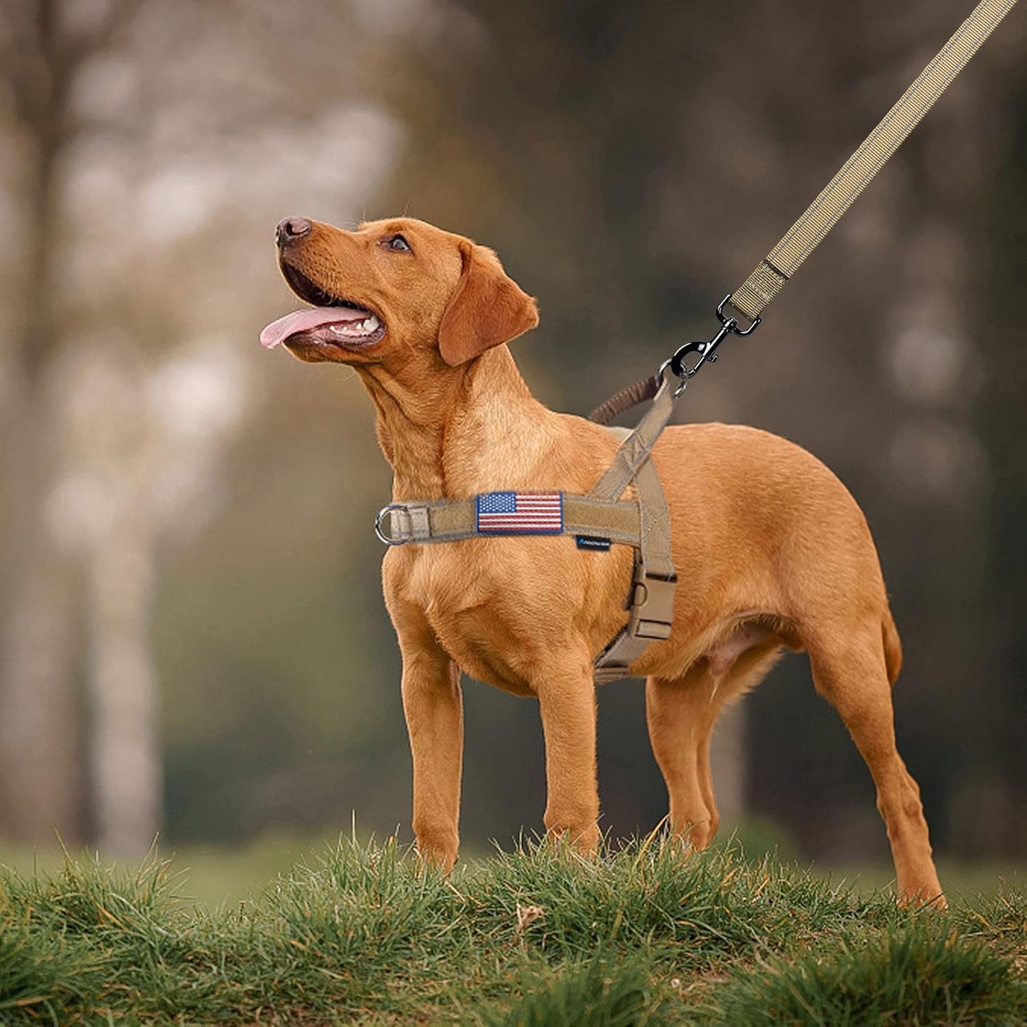 annchwool-no-pull-dog-harness-with-soft-padded-handle-reflective-strip-escape-proof-and-quick-fit-to-adjust-dog-harness-easy-for-training-walking-for-small-medium-and-large-dogsbrown-l