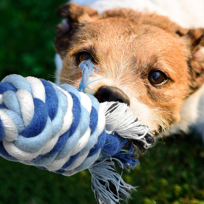 Twoear Dog Rope Toy 4 Pack - Puppy Teething Toys for Small Breed | Indestructible Dog Chew Toys for Aggressive Chewers - Cotton Tug of War Dog Toys for Boredom, Teeth Clean3