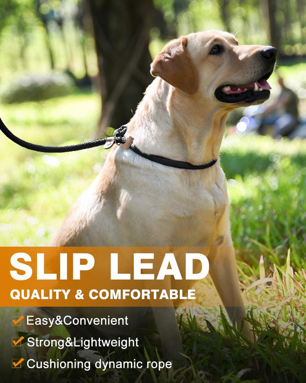 Lynxking Dog Leash Slip Lead 5 6 8 FT Dog Training Leash Strong Heavy Duty Rope No Pull Training Lead Leashes for Dogs6