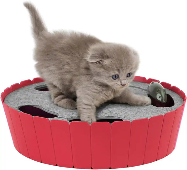 Pawaboo Interactive Cat Toy with Running Mouse, Electronic Motion Cat Toy Automatic Teaser for Indoor Cats, Pop and Play Hide Seek Cat Toys Hunting Mouse for Pet Cat Kitten Play Fun Exercise, Green10