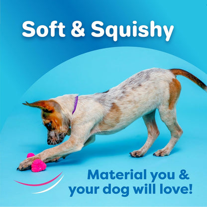 Hartz Duraplay Bone Squeaky Latex Dog Toy for Medium Breeds, 3 Pack2