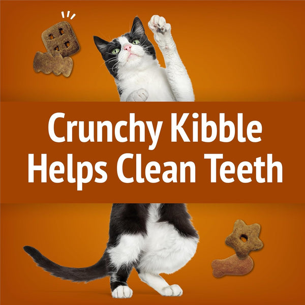 Purina Friskies Cat Treats, Party Mix Chicken Lovers Crunch - 20 Oz. Pouch4
