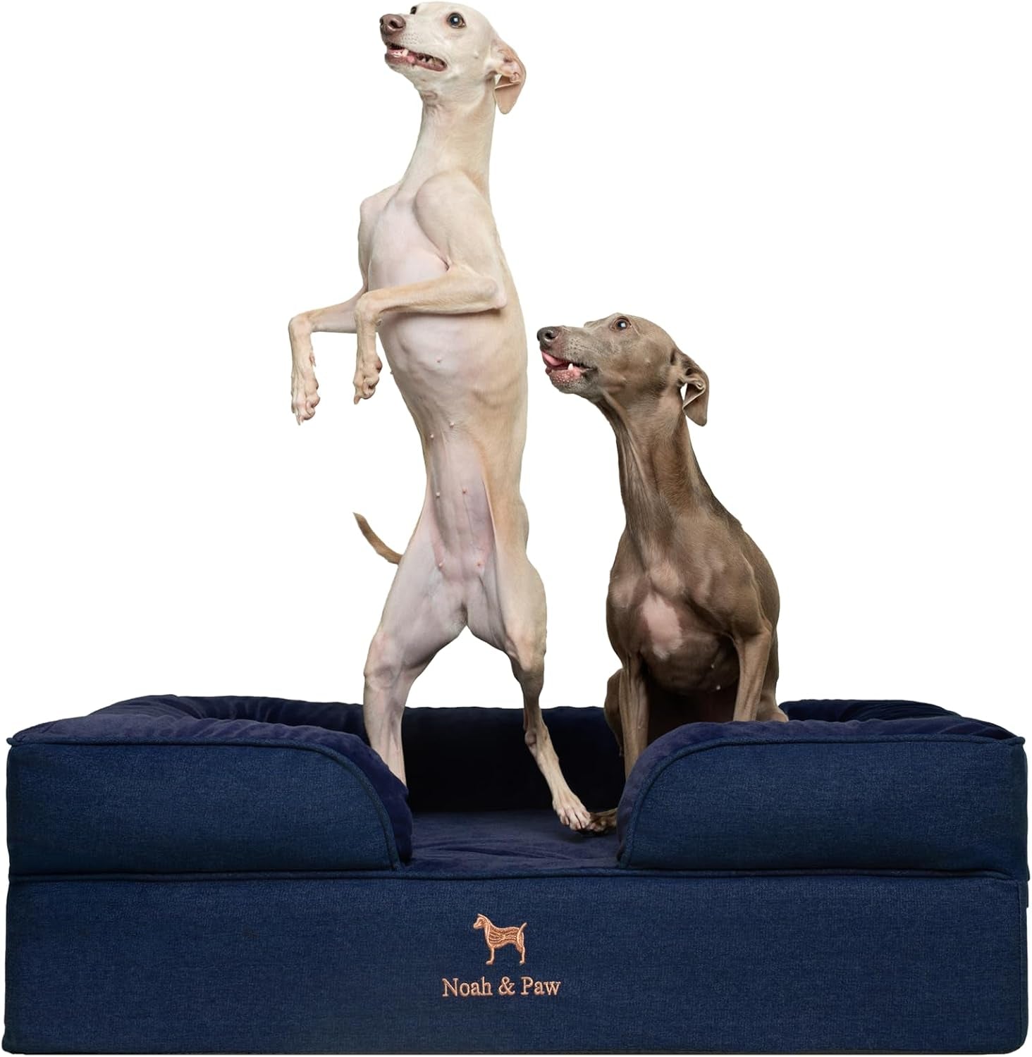 noah-paw-large-dog-bed-35x25x11-inch-orthopedic-dog-beds-eggshell-memory-foam-infused-with-cooling-gel-inner-cover-water-resistant-machine-washable-faux-leather