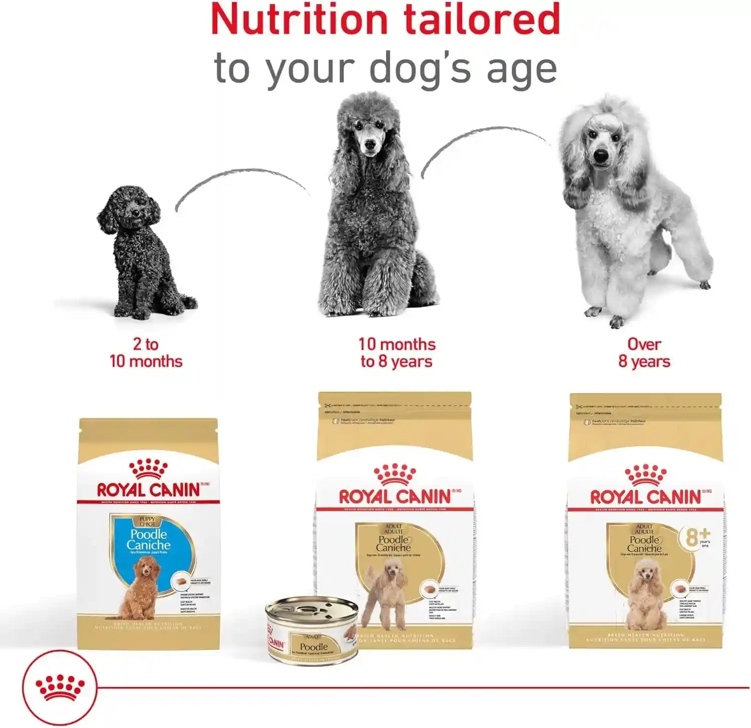 royal-canin-breed-health-nutrition-poodle-puppy-dry-dog-food-2-5-lb-bag-tailored-for-poodle-puppies-up-to-10-months-specialized-kibble-shape-supports-healthy-digestion-antioxidant-rich-formula