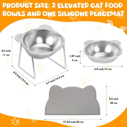 Elevated Cat Bowls, 2 Pack Raised Cat Food Water Bowls with Non-Slip Placemat, 15° Tilted Stand anti Vomiting Stainless Steel Pet Food Feeding Dishes Plate for Cats Kitten Puppies Dogs Small Animals2