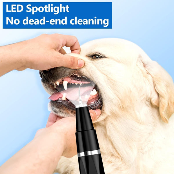 Ni-Shen Plaque Remover for Teeth - Pet Ultrasonic Cleaner - Teeth Cleaning Kit for Tartar and Stains - Suitable for Dogs and Cats (Black)4