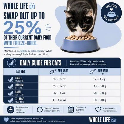 Whole Life Cat Just One Chicken Freeze Dried Cat Treats - Human Grade High Protein Food, Healthy Training Snacks, Freeze Dried Chicken Food Toppers, USA Made Natural Treats - 4 Oz (Pack of 1)3