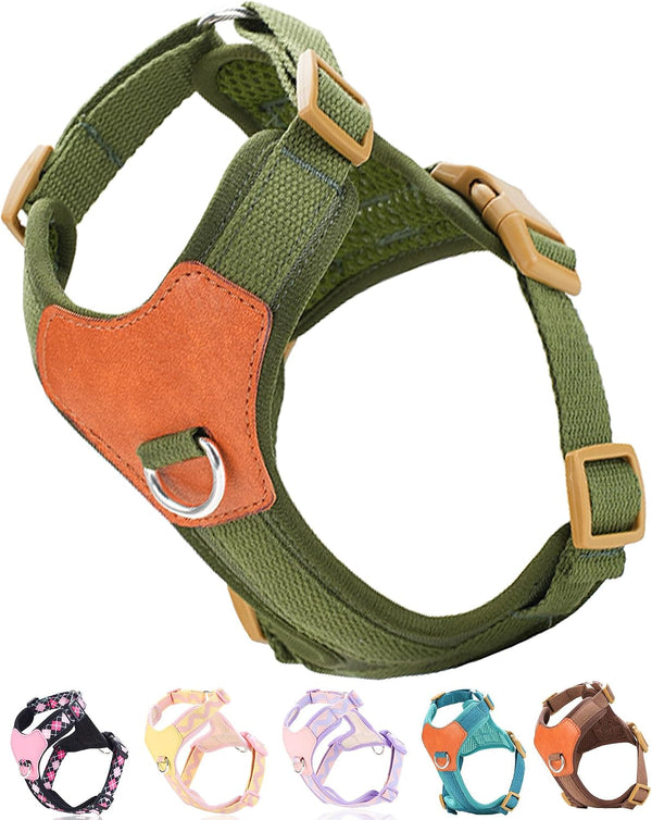 Green Xs Dog Harness for Small Dogs, No Pull Dog Harness with 2 Leash Clips, Puppy Harness, Dog Vest Harness(Green, XS)1