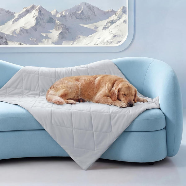 Luciphia Q-MAX>0.4 Cooling Dog Blanket Breathable Cold Pet Puppy Blue,29X40 | Silky Soft Self-Cooling; Summer Calming Mat; Easy Clean Washable; Lightweight Couch Protector for Dogs, Cats, and Puppies.10