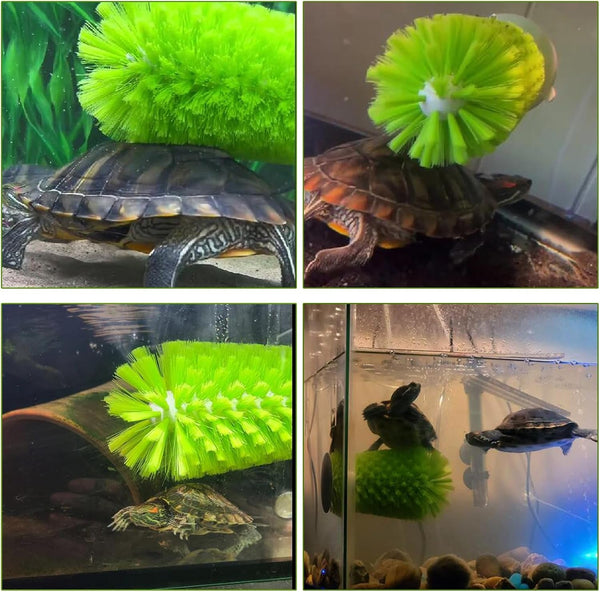 Turtle Scrub Brush, Turtle Scratches Back Brush Turtle Shell Clean Brush with Suction Cup Turtle Exfoliate Brush Tank Tortoise Brush for Remove Turtle Shell Scutes Mud Dirt6
