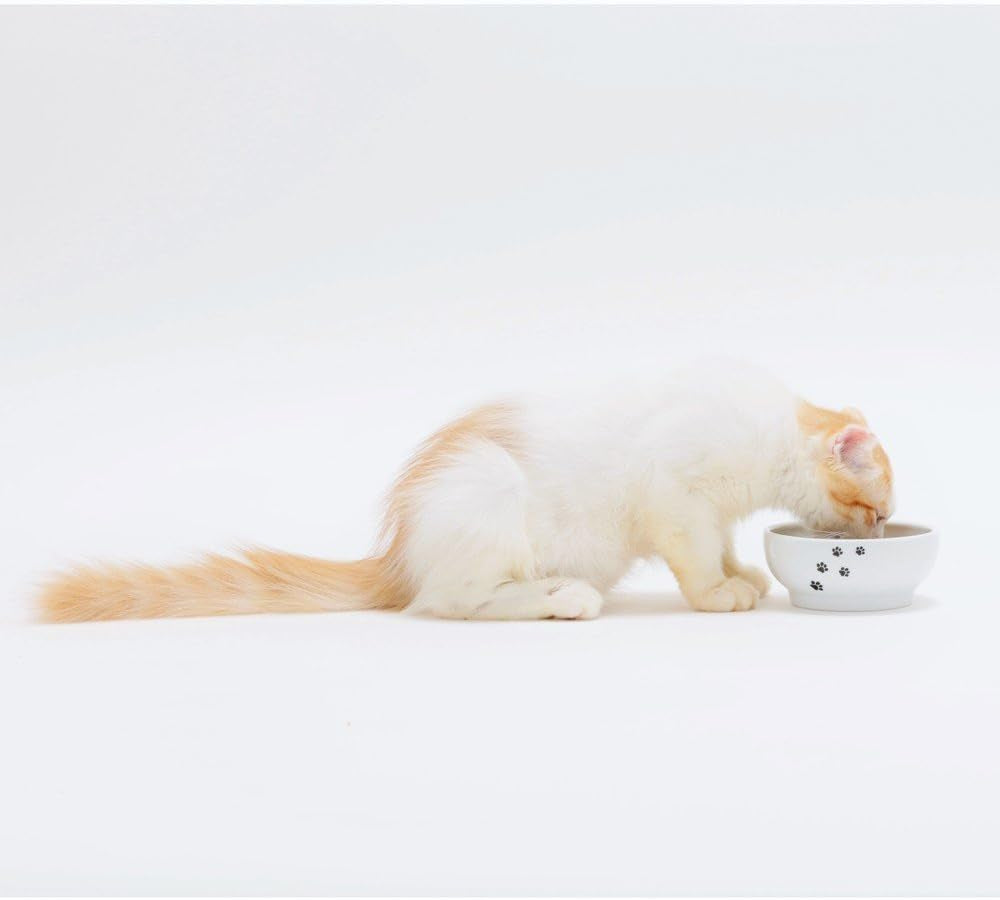 necoichi-shallow-wide-ceramic-cat-food-water-bowl-paw-basic-flat