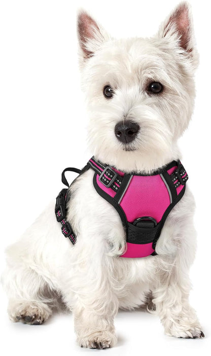 Rabbitgoo Dog Harness, No Pull for Large Dogs with 2 Leash Clips, Pet Vest | No Choke with Handle, Adjustable Soft Padded, Reflective, Easy Control for Walking, Black, Large24