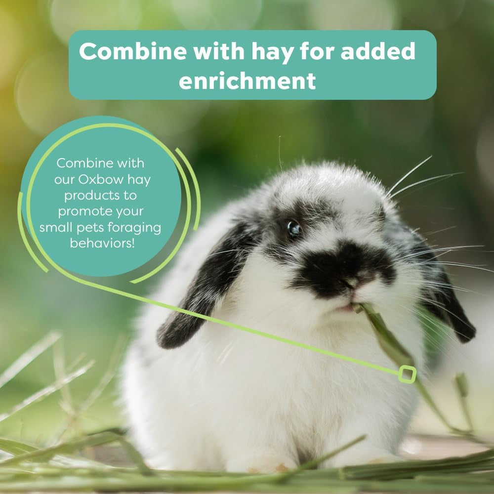 oxbow-hay-topper-rabbit-guinea-pig-treats-hay-mixer-garden-blend-2-oz-foraging-hay-topper-with-kale-bell-pepper-basil-sprinkles-for-rabbits-guinea-pigs-chinchillas-adds-variety-to-hay